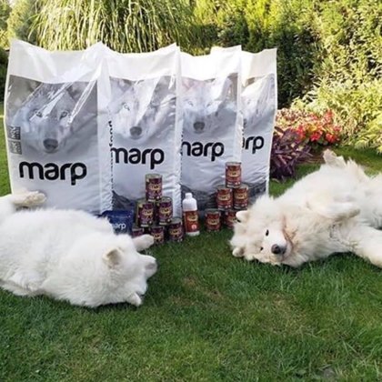 Marp pet food