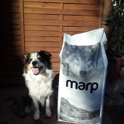 Marp Pet Food
