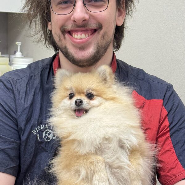 32. intensīvais bāzes kurss 11.2025.