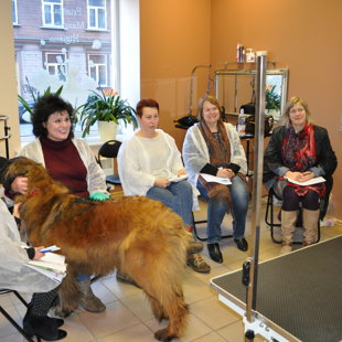 Leonberger Grooming Seminar with Anna Malsub (Russia) - 17.03.2017