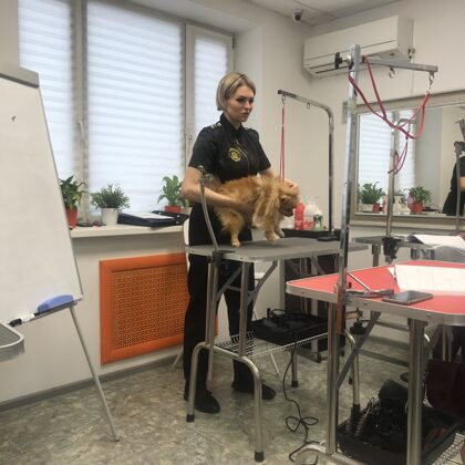 Grooming classes of our team in Moscow in 2019
