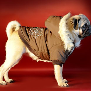 Одежда для собак 