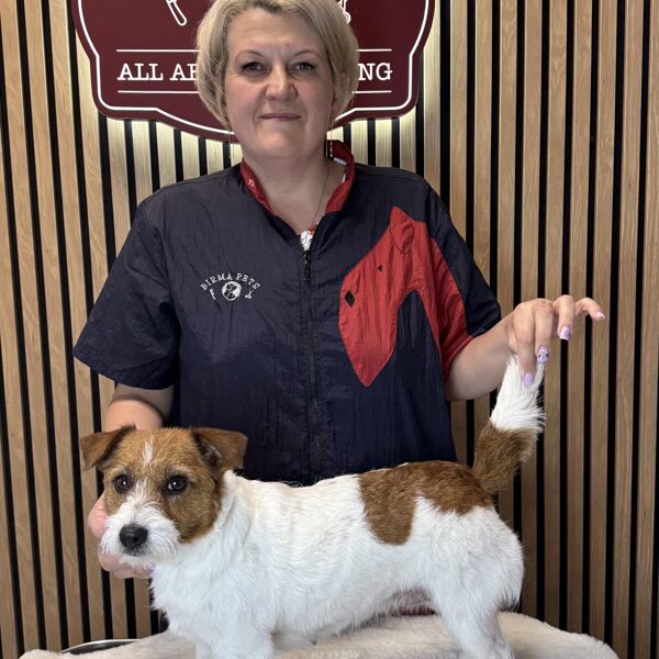 29-ый интенсивный базовый курс по грумингу 06.2025.