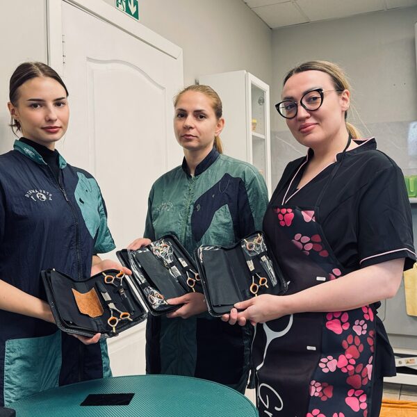 31-ый интенсивный базовый курс по грумингу 09.2025.