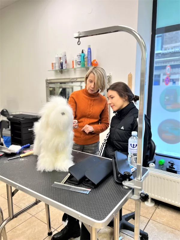 3. Intensive Grooming Basic Course 12.2021.