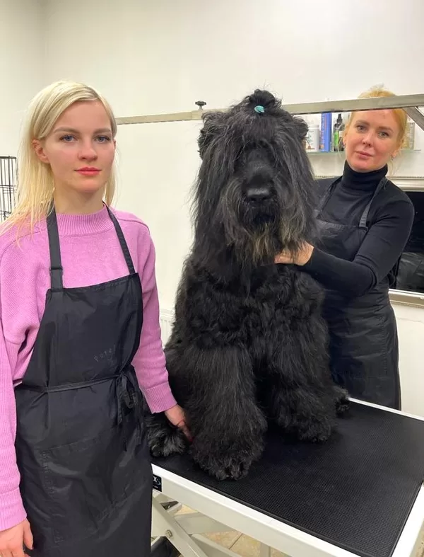 10. Intensive Grooming Basic Course 12.2022.