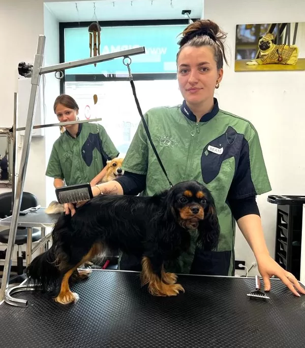 15. Intensive Grooming Basic Course 07.2023.