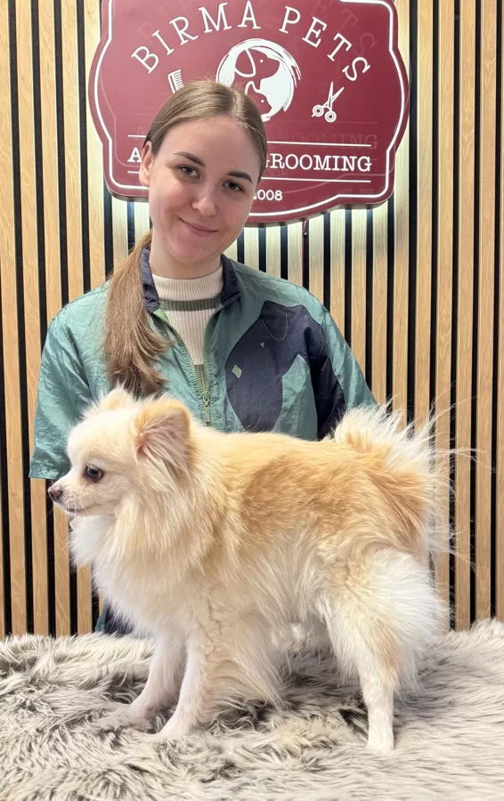 32. Intensive Grooming Basic Course 11.2025