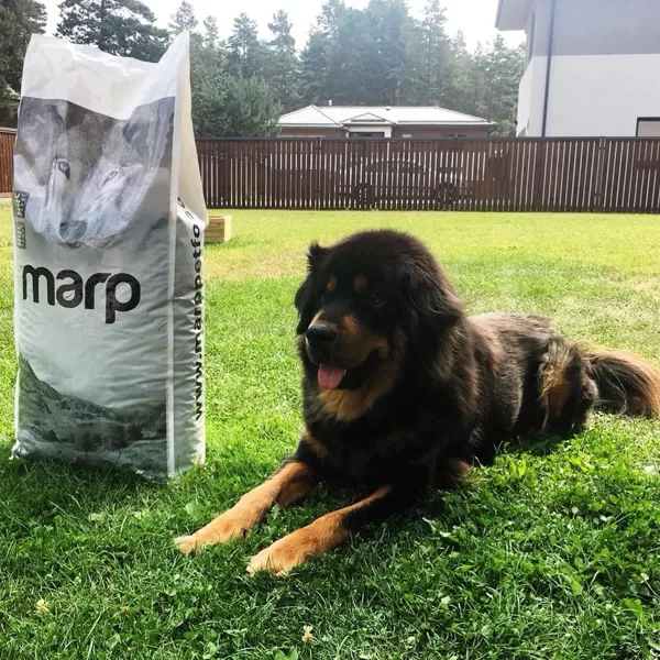Marp Holistic Chicken