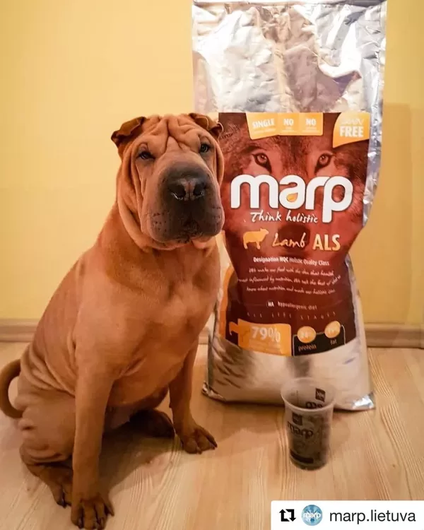 Marp Think Holistic Lamb