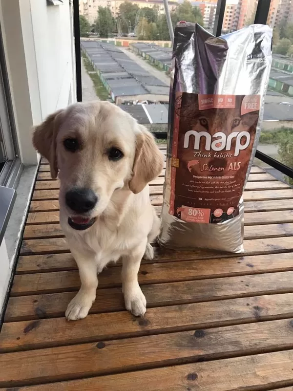 Marp Think Holistic Salmon