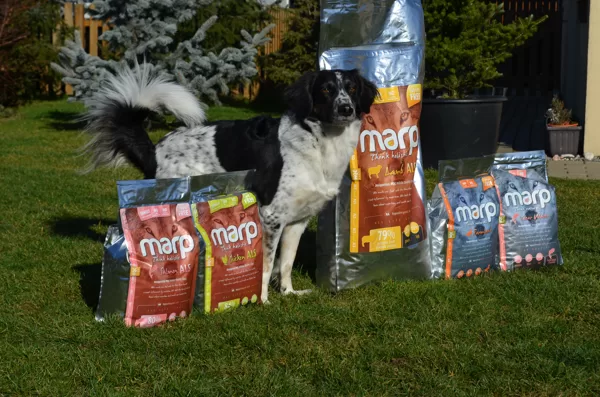 Marp Holistic Line