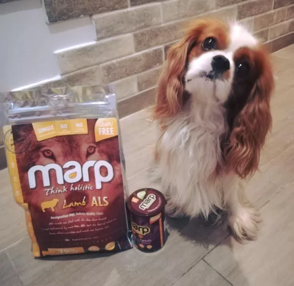 Marp Think Holistic Lamb