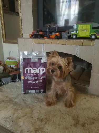 Marp Think Holistic White Mix Small Breed