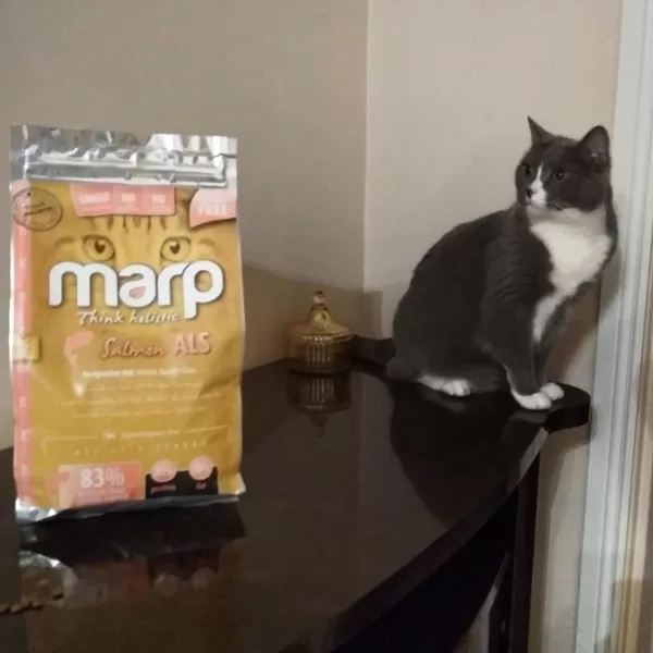 Marp Holistic CAT Salmon