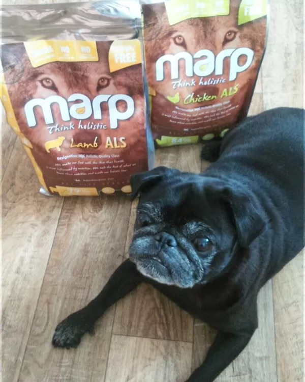 Maro Holistic Lamb & Marp Holistic Chicken