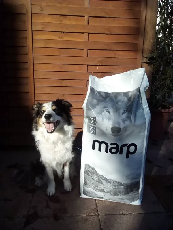 Marp сухой корм для собак всех пород