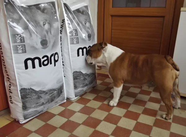 Marp Holistic корм для собак