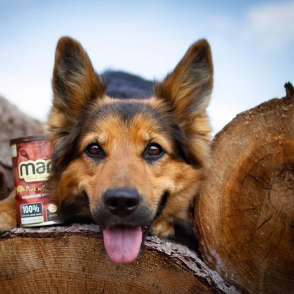 Marp THink Holistic Wild Boar - wet dog food
