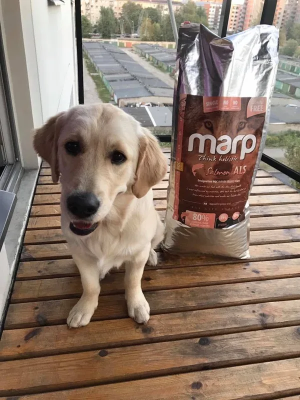 Marp Think Holistic Salmon