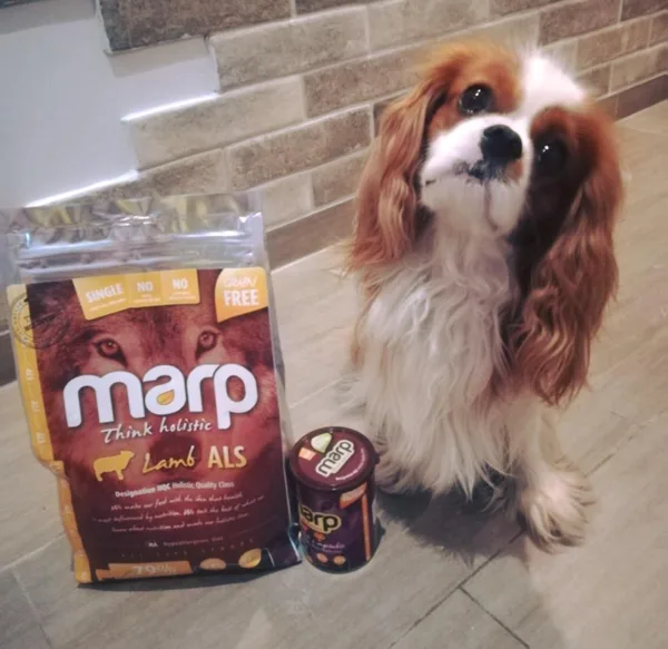 Marp Think Holistic Lamb