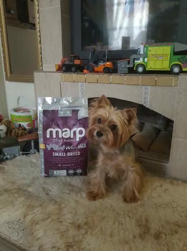 Marp Think Holistic White Mix Small Breed