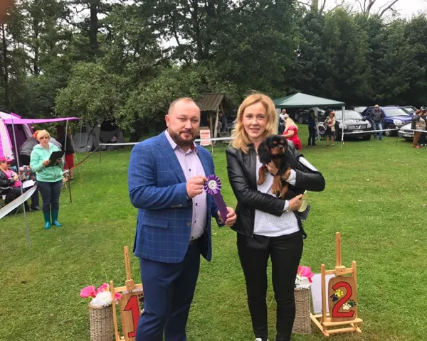 Cavalier King Charles Spaniel - Wolmar Star Jane Fonda - Owner Zanna Romanenko