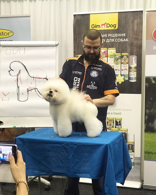 GROOM FORUM 2019. Киев, Украина. 19.-22.08.2020.