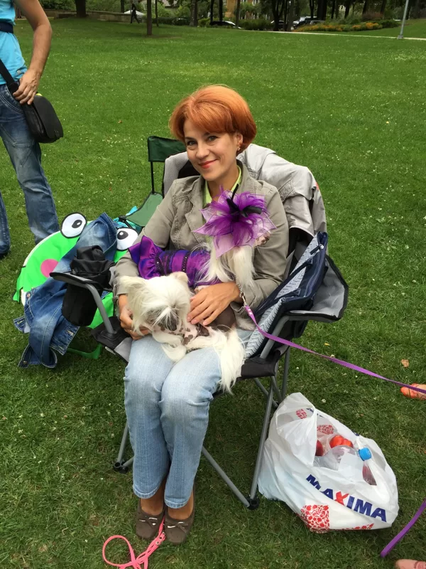 Ķīnas cekulaino suņu salidojums - 05.08.2015