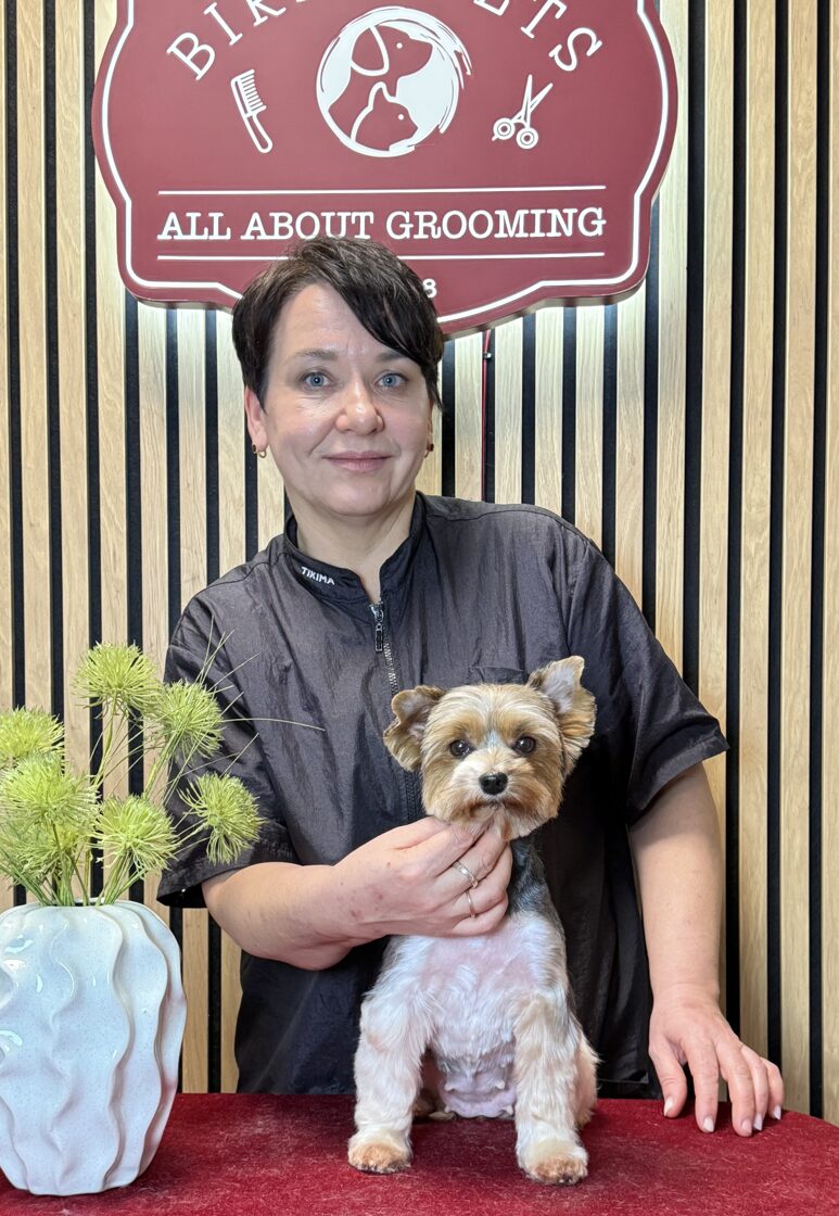 Grumer_groomer_parikmaher_dlja_sobak_Ilona_Birma_PETS-1.jpg